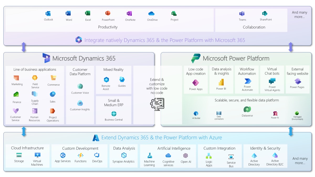 Microsoft ecosystem adoption visual